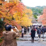 Kyoto 2012 Crowded
